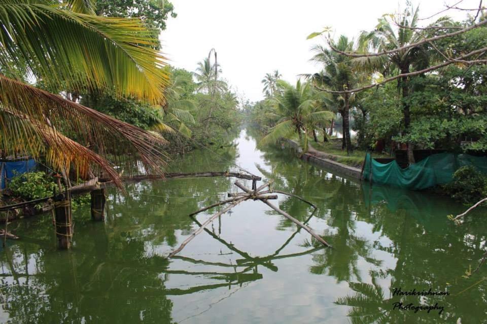 Marari Stella Vich Villa Homestay Turavūr Exterior foto