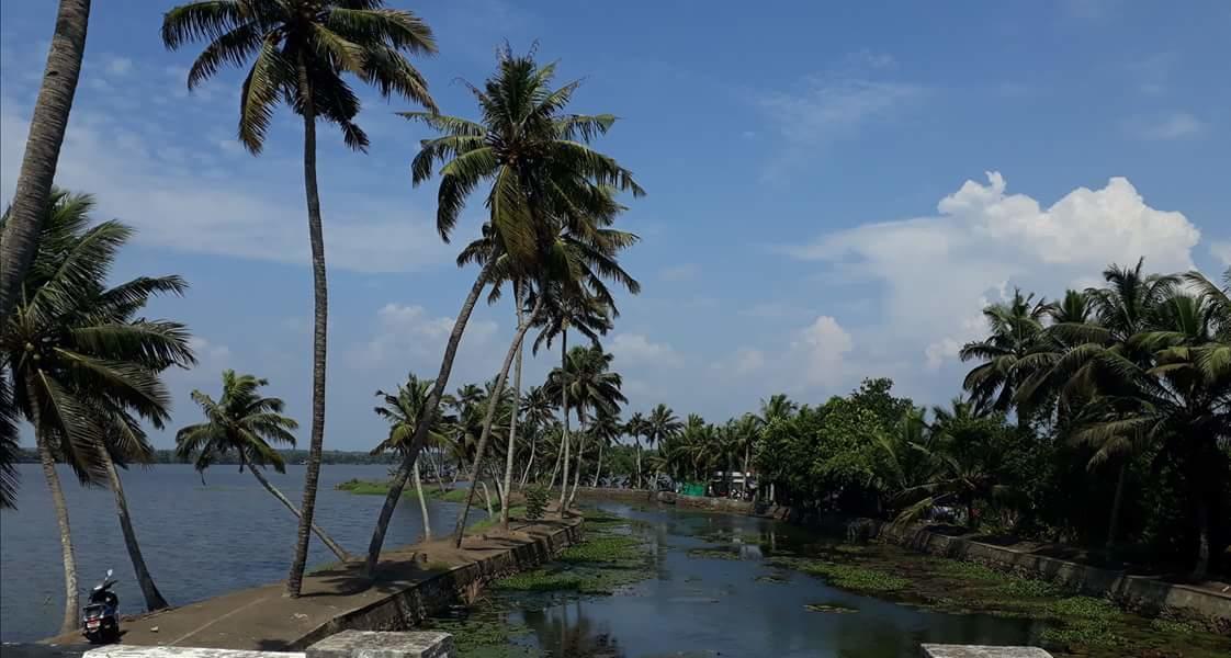 Marari Stella Vich Villa Homestay Turavūr Exterior foto